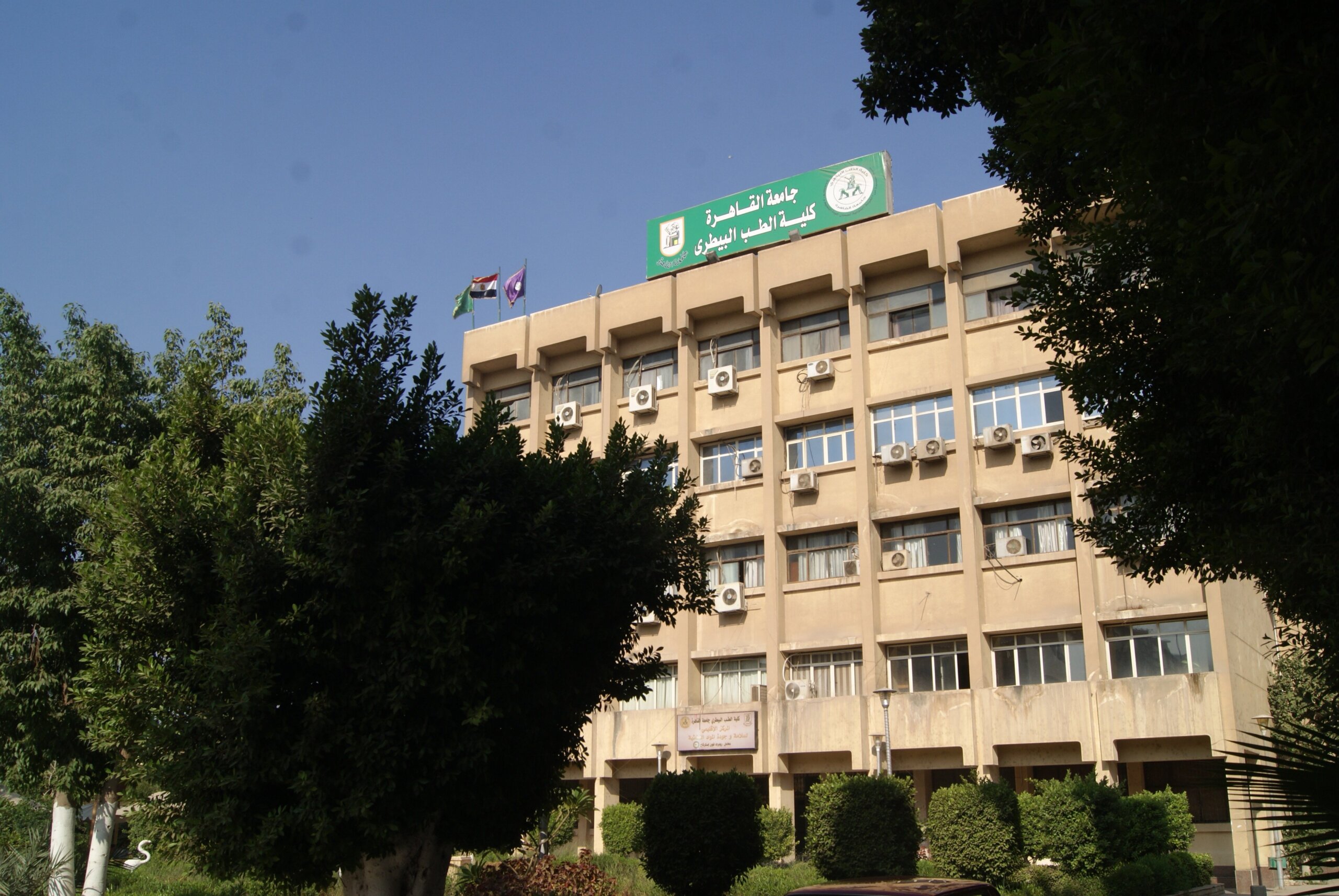 كلية الطب البيطري جامعة القاهرة