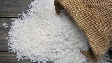 تراجع اسعار الارز