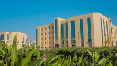 تنسيق جامعة العريش 2023