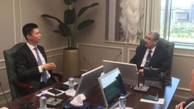 وزير الكهرباء