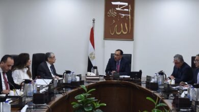 رئيس الوزراء يتابع مستجدات تنفيذ مشروعات إنتاج الهيدروجين الأخضر