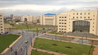 نتيجة تنسيق كلية الهندسة جامعة كفر الشيخ 2023