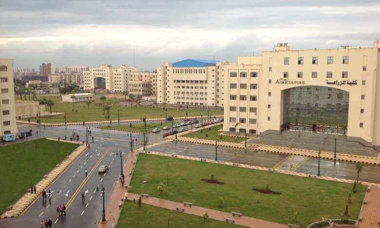 نتيجة تنسيق كلية الهندسة جامعة كفر الشيخ 2023