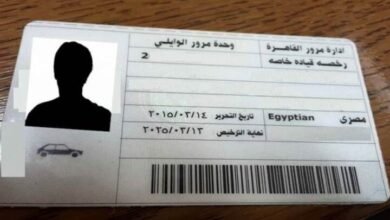 منها شهادة مخالفات .. خطوات تجديد رخصة قيادة السيارة