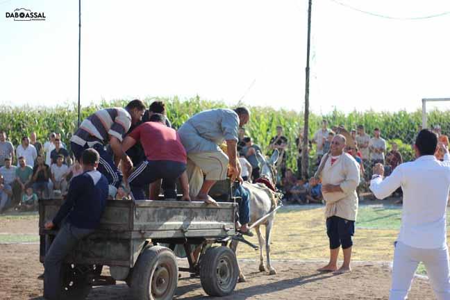 بطولة كأس الفلاحين