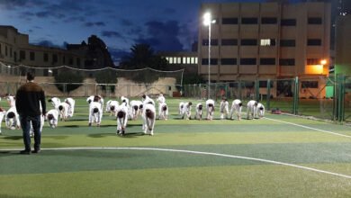 كليات تقبل 50% علمي علوم 2023