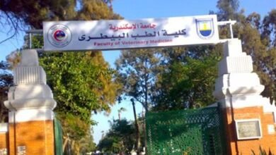كلية الطب البيطري جامعة الإسكندرية