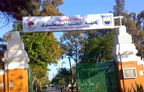 كلية الطب البيطري جامعة الإسكندرية