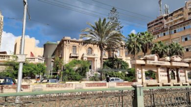 كلية الفنون الجميلة جامعة الإسكندرية