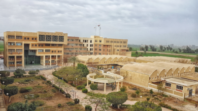 كلية هندسة جامعة المنيا