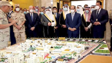 تنسيق كلية الصيدلة في جامعة الملك سلمان الدولية 2023