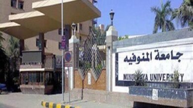 رابط التحصيل الالكتروني جامعة المنوفية