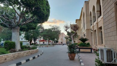 توقعات تنسيق كليات علمي علوم 2023 