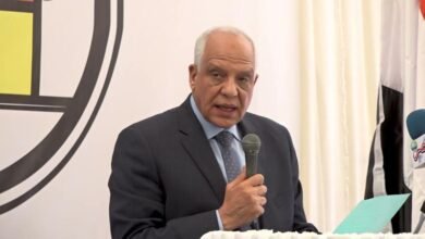 مصالح حكومية مستثناة من العمل في المنزل يوم الأحد بمحافظة الجيزة