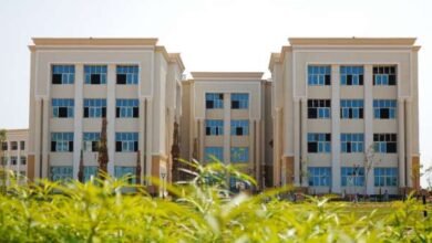 تنسيق كلية التكنولوجيا الحيوية في جامعة المنصورة الأهلية 2023