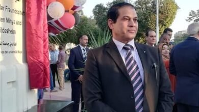 الدكتور جمال صدقي القائم بأعمال كلية الفنون الجميلة