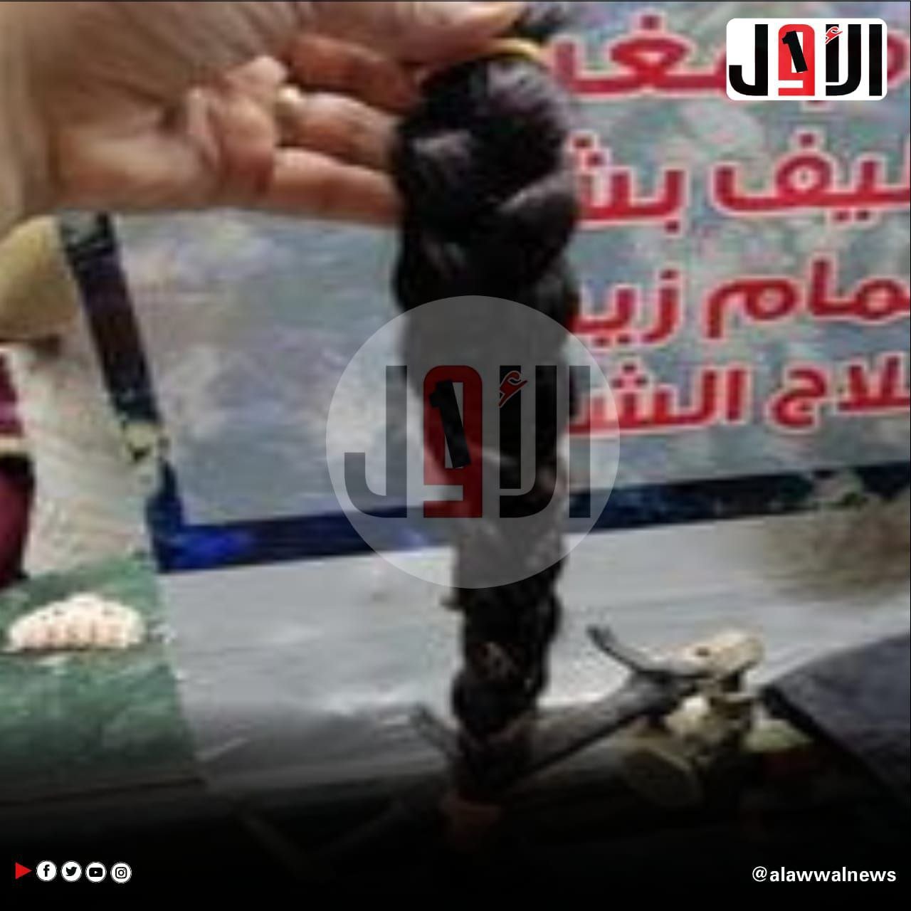 الطفله بتول