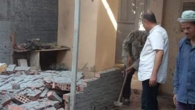 محافظة الدقهلية