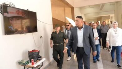 محافظة الدقهلية