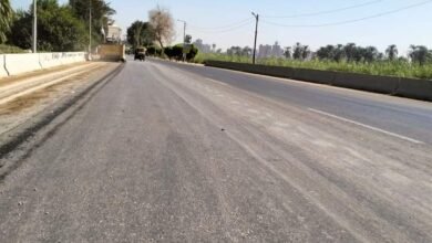 محافظة أسيوط