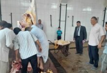 لحوم فاسدة