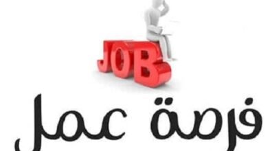 وظائف شركة سندة للتمويل