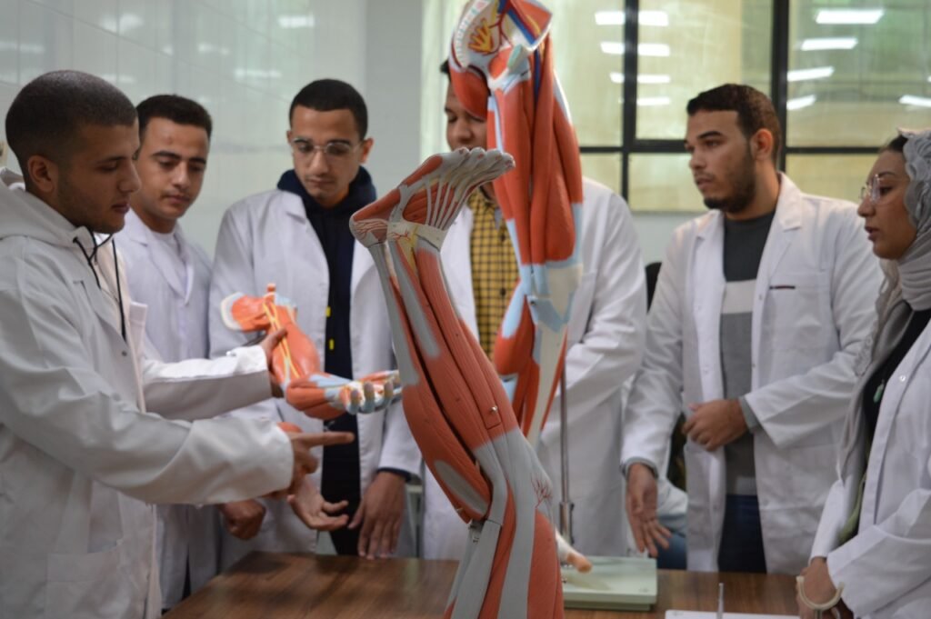 مصروفات جامعة ميريت 2023