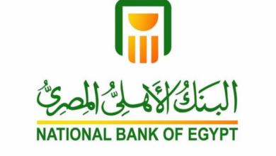 3 مليون جنيه قرض للعاملين بالخارج