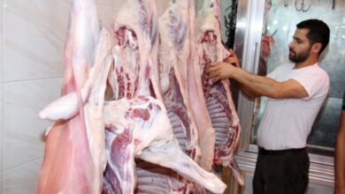 سعر اللحم | سعر اللحم اليوم | سعر اللحوم اليوم | سعر اللحوم | سعر اللحوم في مصر