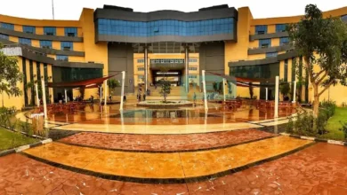 مصروفات جامعة بدر بأسيوط 2023