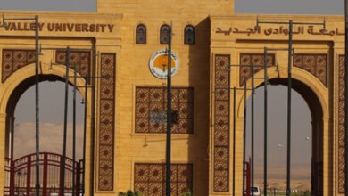 تنسيق الثانوية العامة 2023 في الوادي الجديد المرحلة الثانية