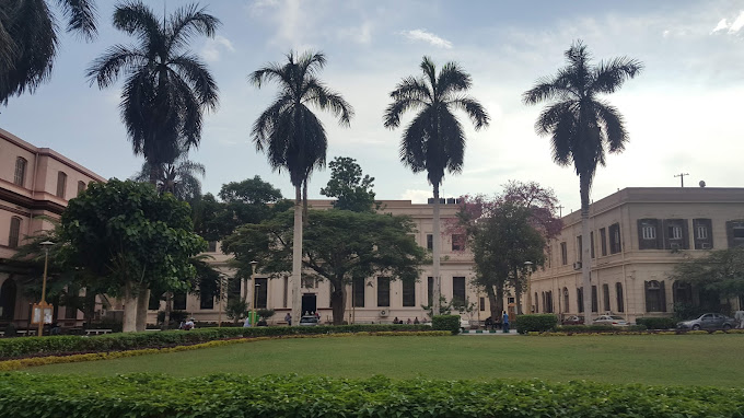 تنسيق كلية الزراعة جامعة القاهرة 2023