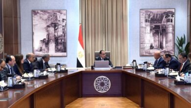 دعم الصناعة المصرية