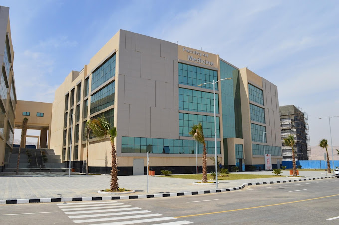 مصاريف كلية الطب بجامعة ميريت 2023