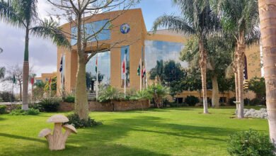 مصاريف كلية طب الاسنان بجامعة بدر 2023