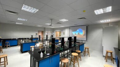 مصاريف كلية طب الاسنان بجامعة سفنكس 2023