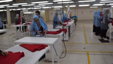 وظائف وزارة العمل في محافظة أسيوط