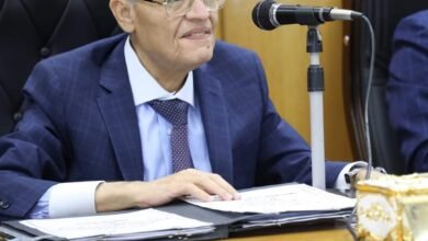 محافظ المنيا