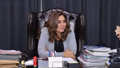 محافظ دمياط