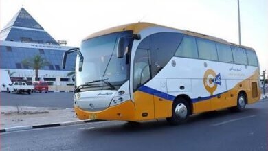 شركة الصعيد للنقل والسياحة | حجز تذاكر شركة الصعيد للنقل والسياحة | أرقام تليفونات شركة الصعيد للنقل والسياحة | مواعيد اتوبيسات شركة الصعيد للنقل والسياحه