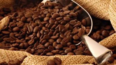 أفضل أنواع البن في مصر