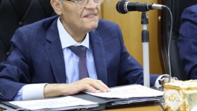 محافظ المنيا