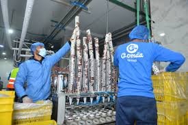 مصانع العاشر من رمضان